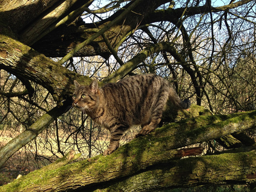 moritz2Kobqc68JkfKaR